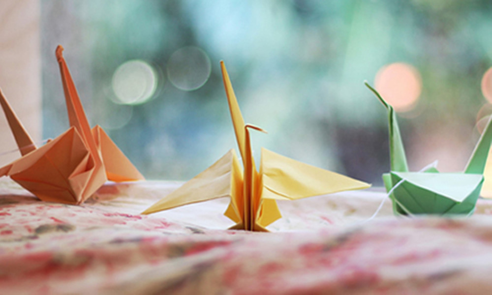 折纸变成各种东西,折纸变成东西