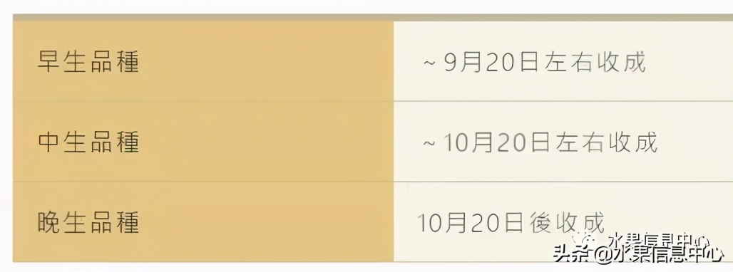 为什么日本苹果质量比中国的好,日本青森苹果种植