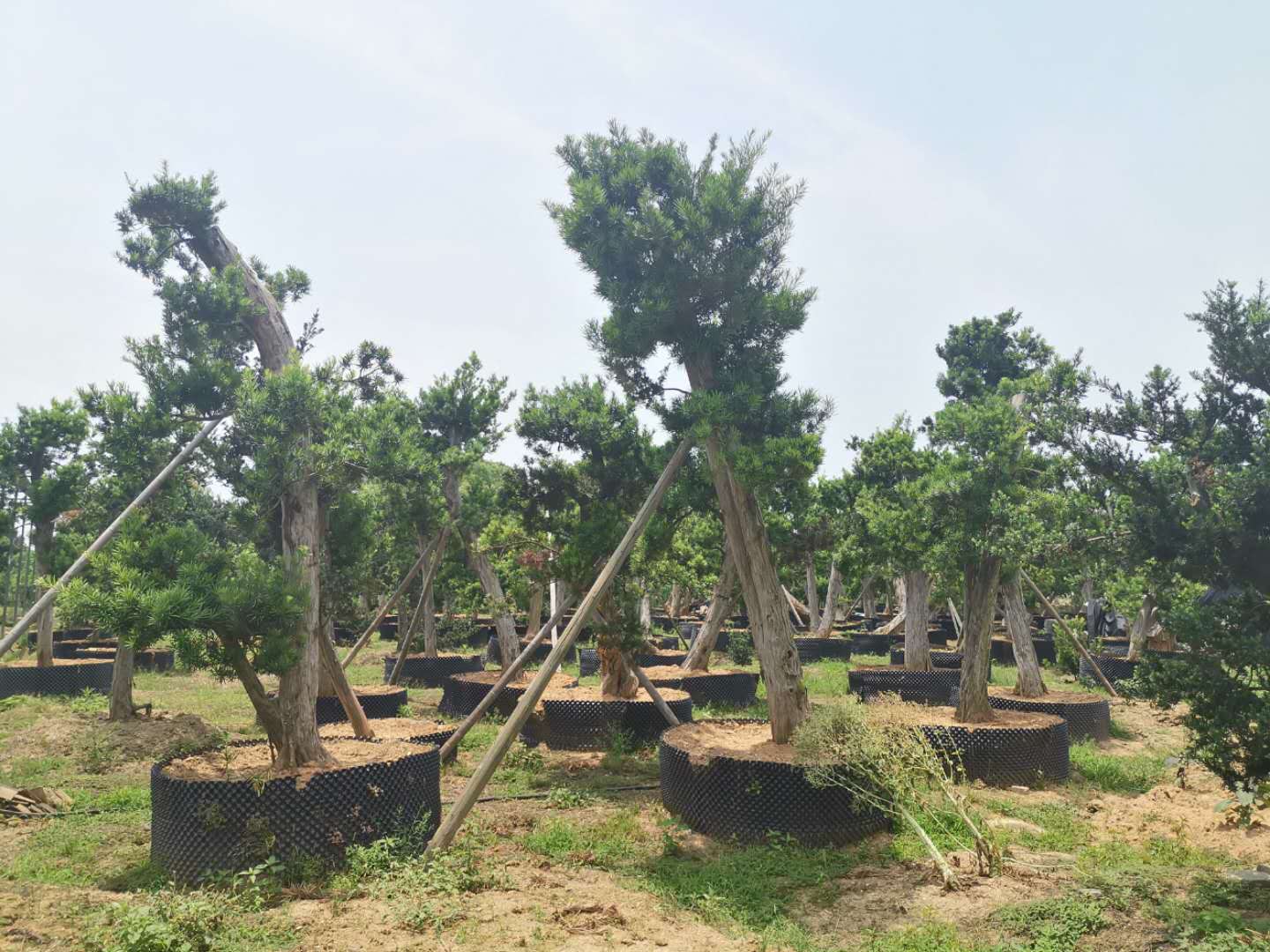 叹为观止自然风景,叹为观止高清图