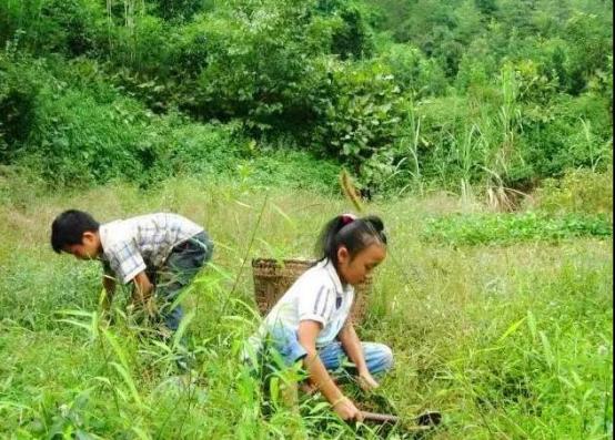 哈佛家训全集书籍的内容,哈佛家训一生遵守这10个法则