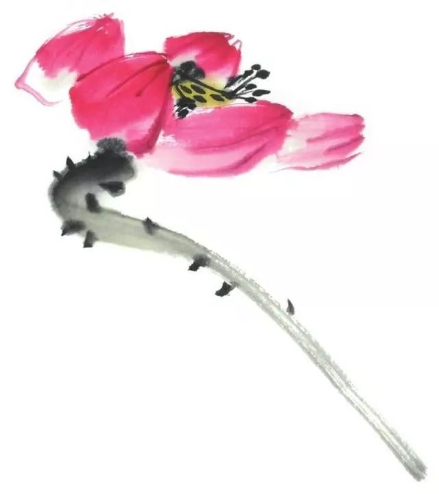 白描荷花100幅画法,荷花的画法白描图