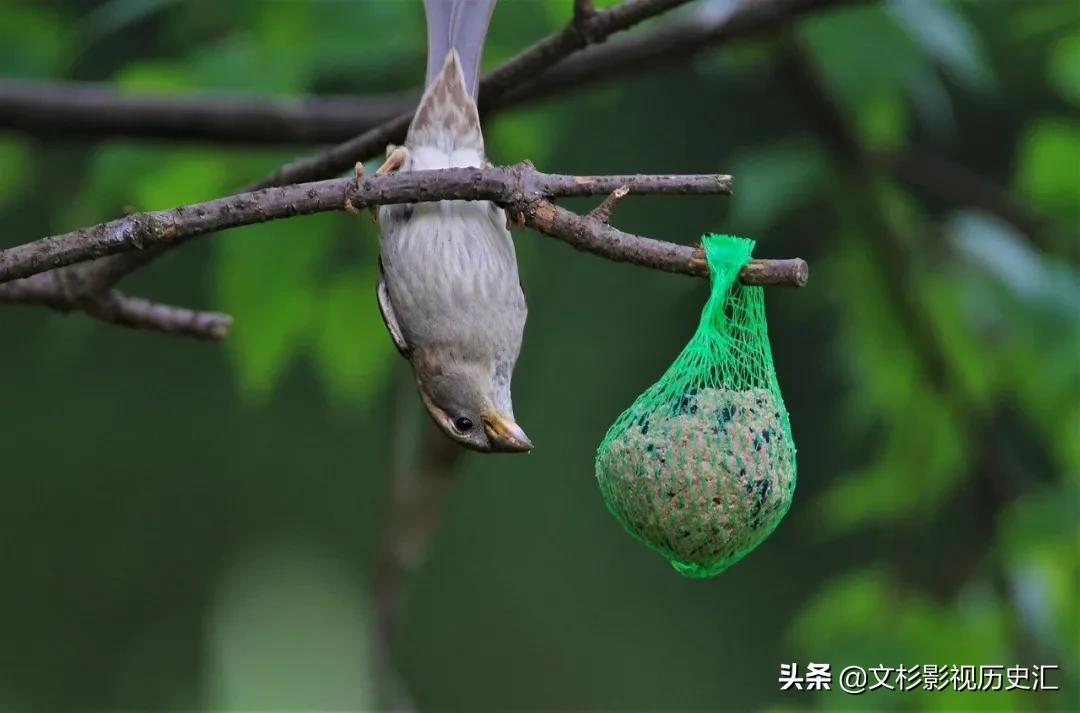 推荐六个销售励志小故事及感悟,励志简短小故事关于销售