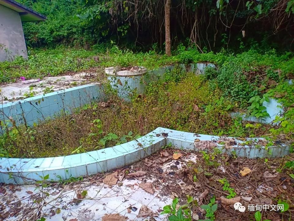 坤沙是怎么当上金三角老大的,金三角大毒枭坤沙传奇的一生