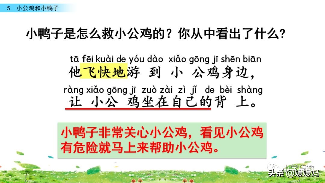 一年级下小公鸡和小鸭子课文重点,小公鸡和小鸭子一年级下册视频