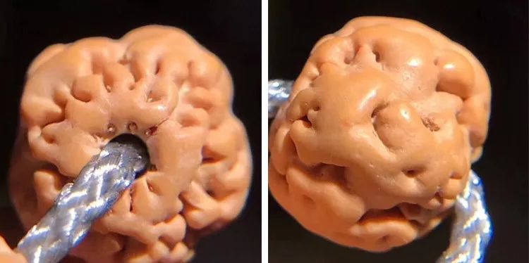 小金刚菩提梅花纹路什么价位,小金刚菩提什么纹路的最好