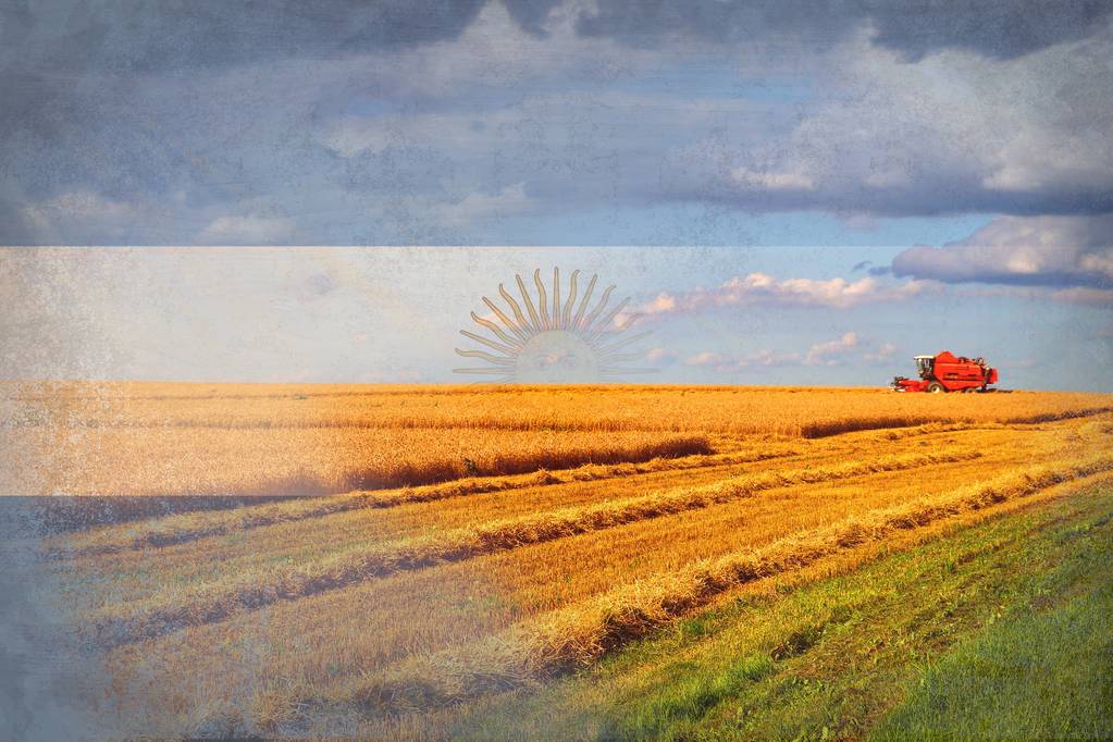 潘帕斯雄鹰回阿根廷,潘帕斯雄鹰和阿根廷巨鹰