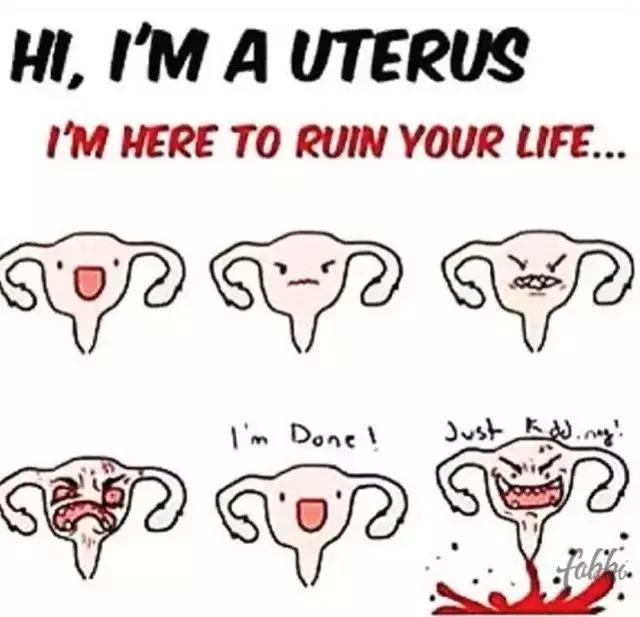 圣诞礼物｜热爱运动的姑娘们，我们来承包你一年的姨妈巾