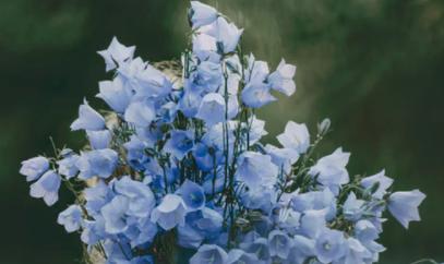 女人做到这6点一定很幸福,女人做到这四点就放手吧