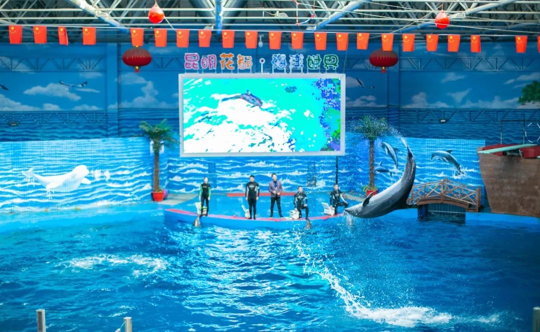 鏄嗘槑钀屽疇鍔ㄧ墿涓婚涔愬洯,鏄嗘槑瀹ゅ唴钀屽疇涔愬洯