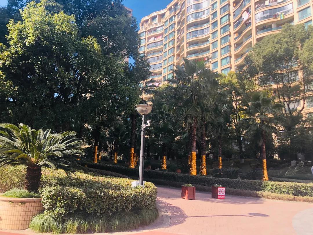 落寞！曾风靡杭州的“国际滨”一线江景房，如今许多只能卖4万+