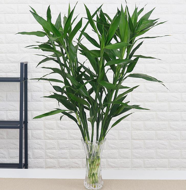 招财进宝马上来财正确摆放位置,招财和守财如何摆放