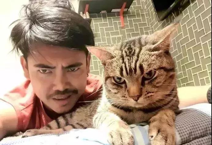 养了5年的猫居然让我丢掉,我养了七只猫