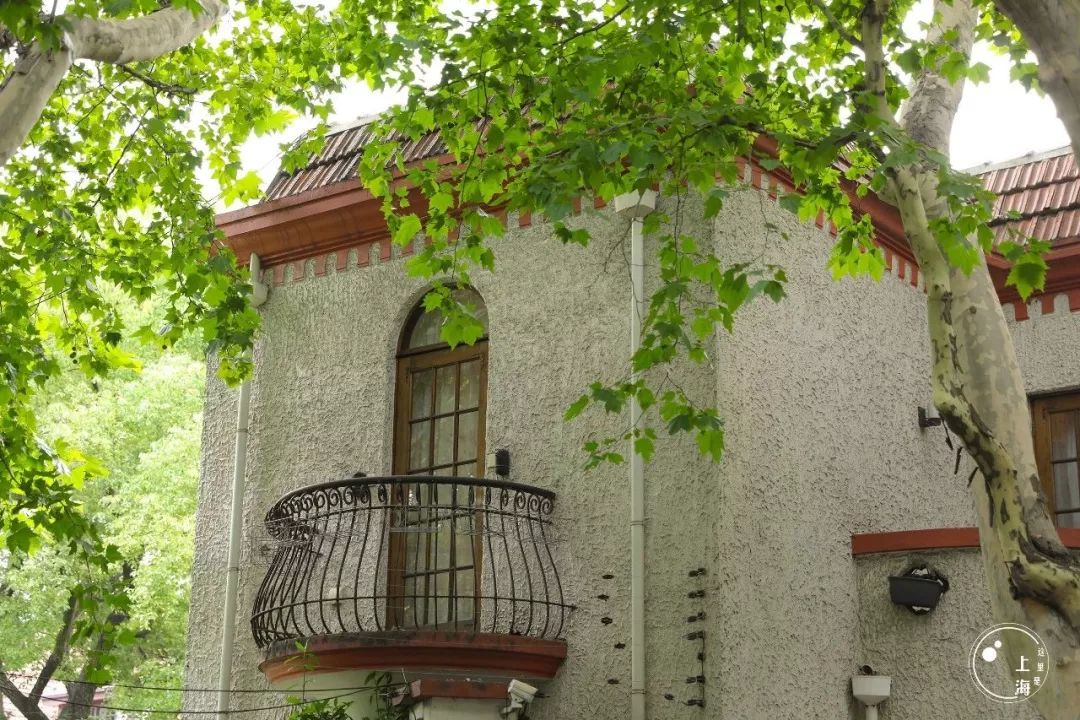 生日当天上海免费景点,上海网红打卡地点景点免费