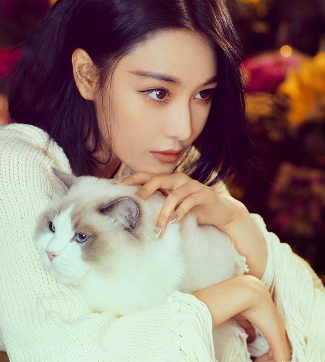 张馨予照骗,张馨予的代购处理了吗