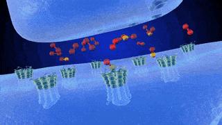 某网友问“戒烟之后,你真的快乐吗?”——细谈*草烟**的琐碎和戒烟