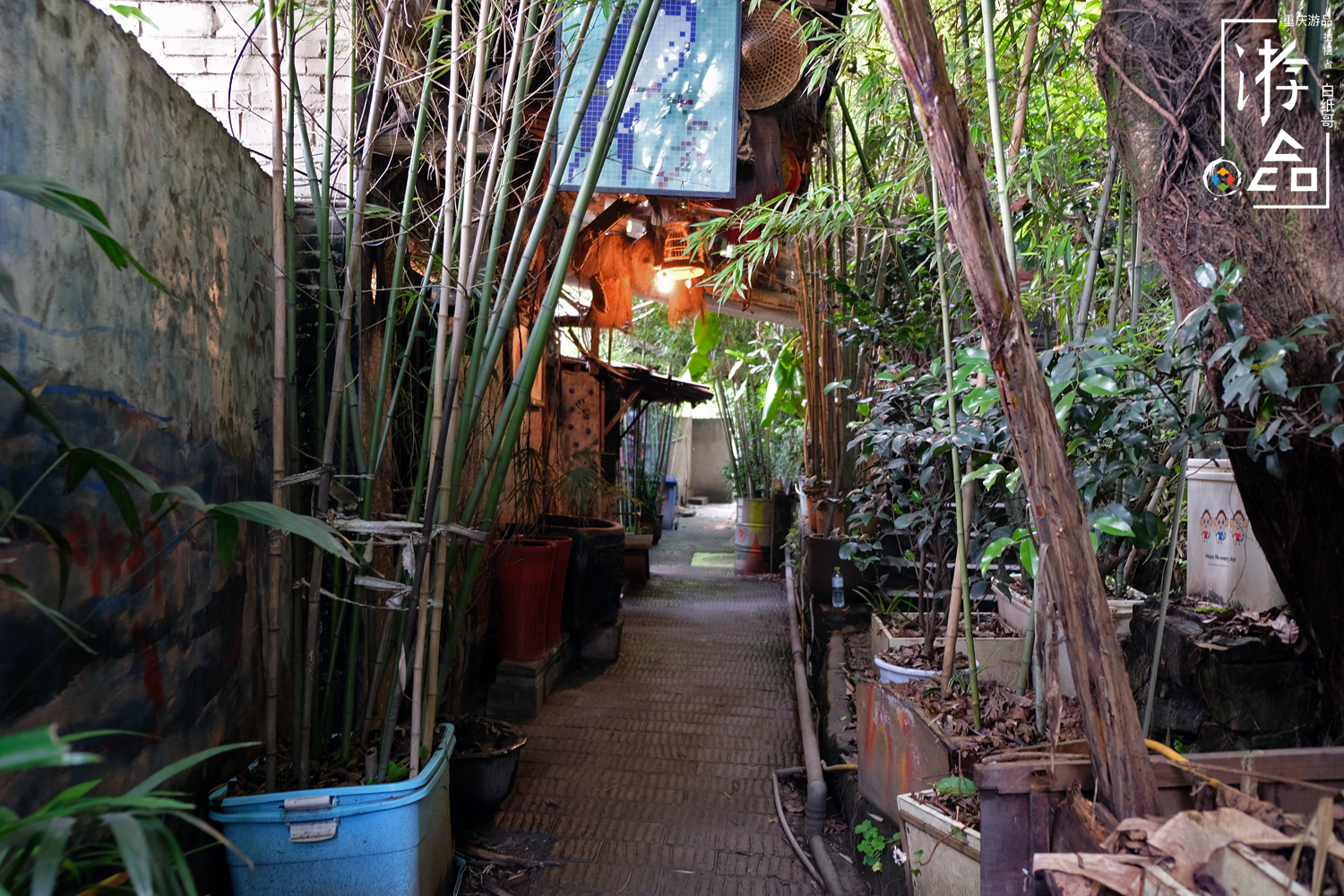 谁都逃不掉命运,谁都逃不掉的命运