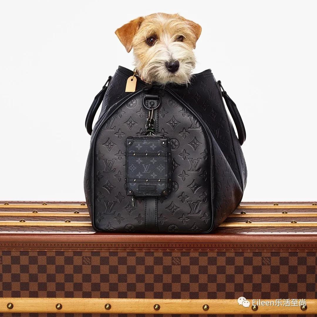 设局强娶？顶级贵女爱马仕是怎么甩掉腹黑桃花LV的？