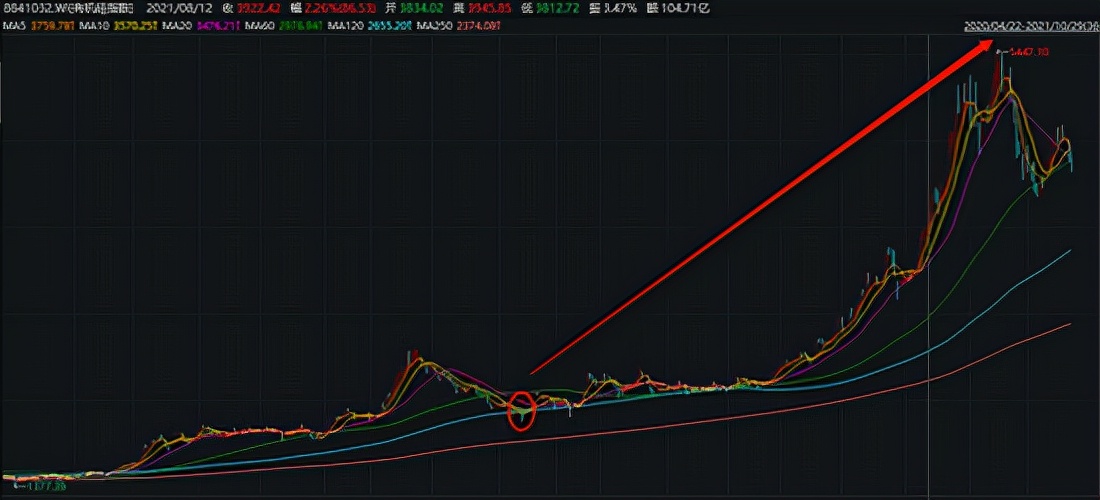 富祥药业个股分析,富祥药业为何近期大涨