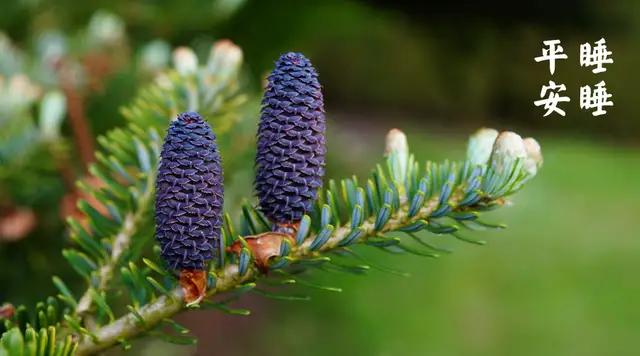 梁冬五个令人心盲的道理,梁冬对话经典语录