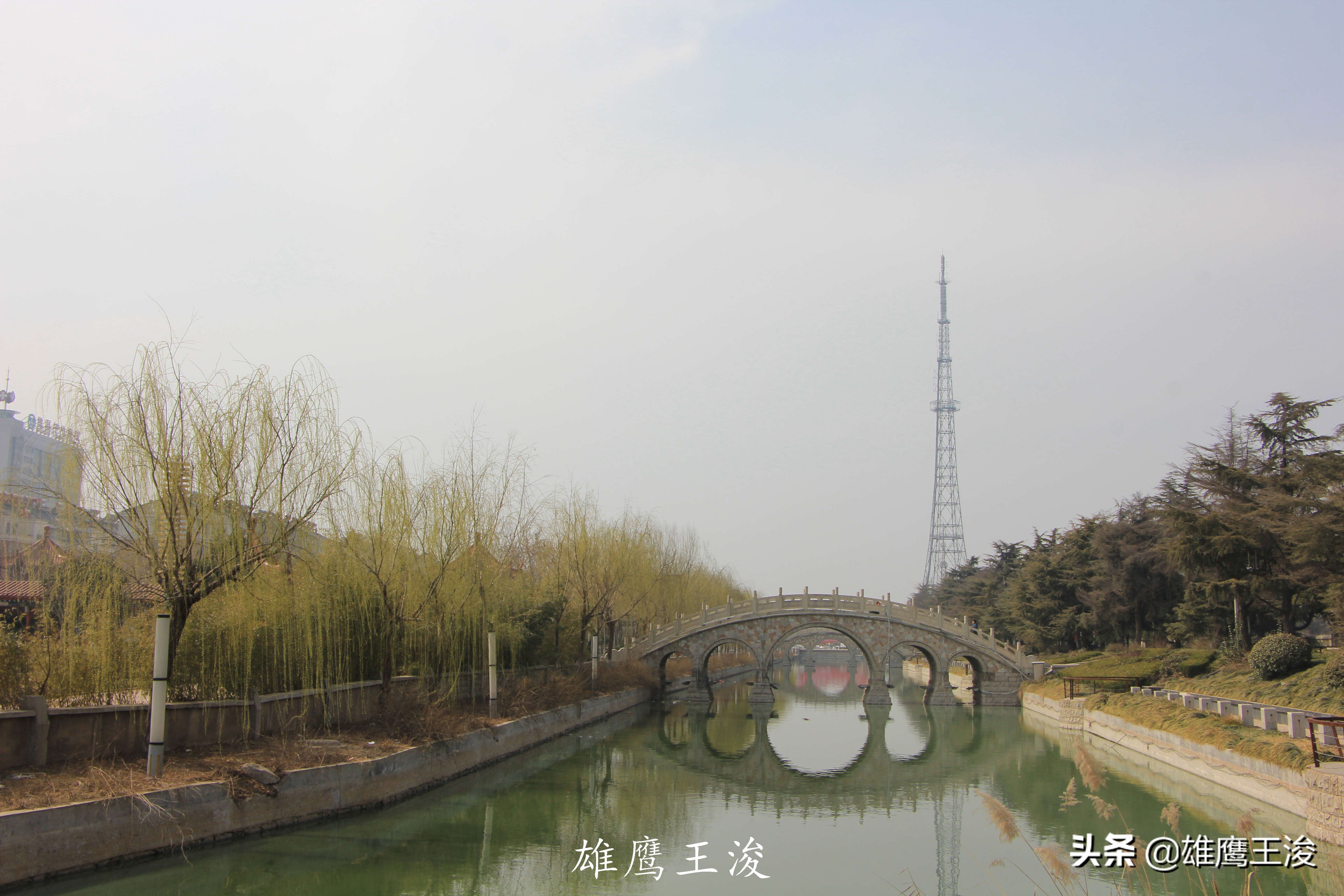 山东县城未来有什么发展,山东平原新区有发展前景吗