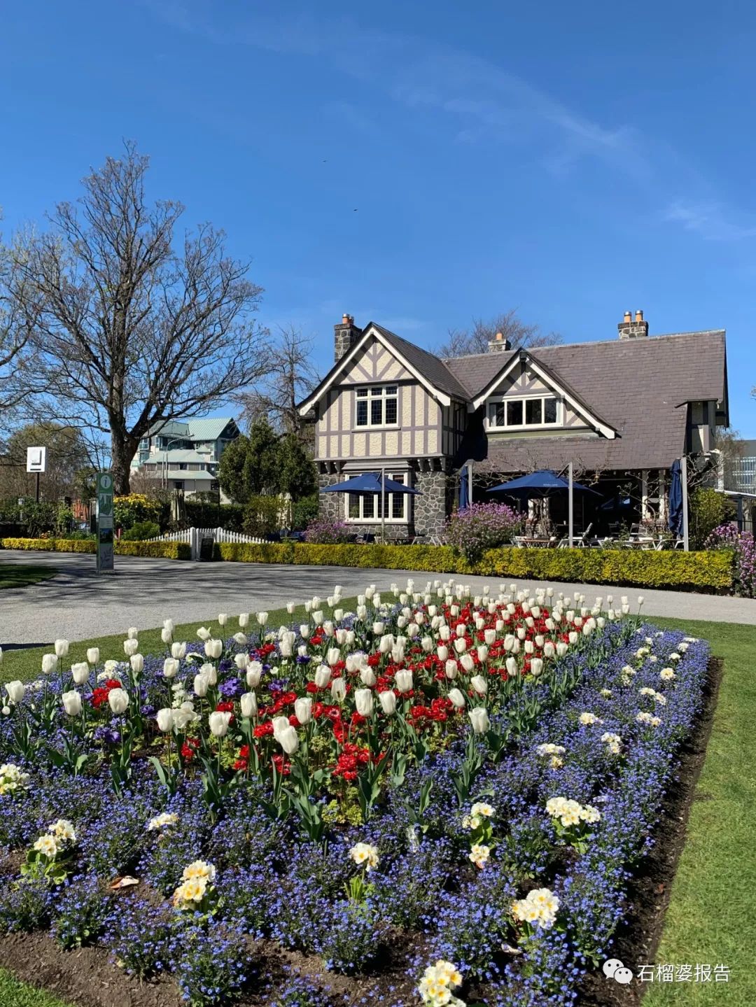 旅行7天,七天游记的视频在线观看全集高清