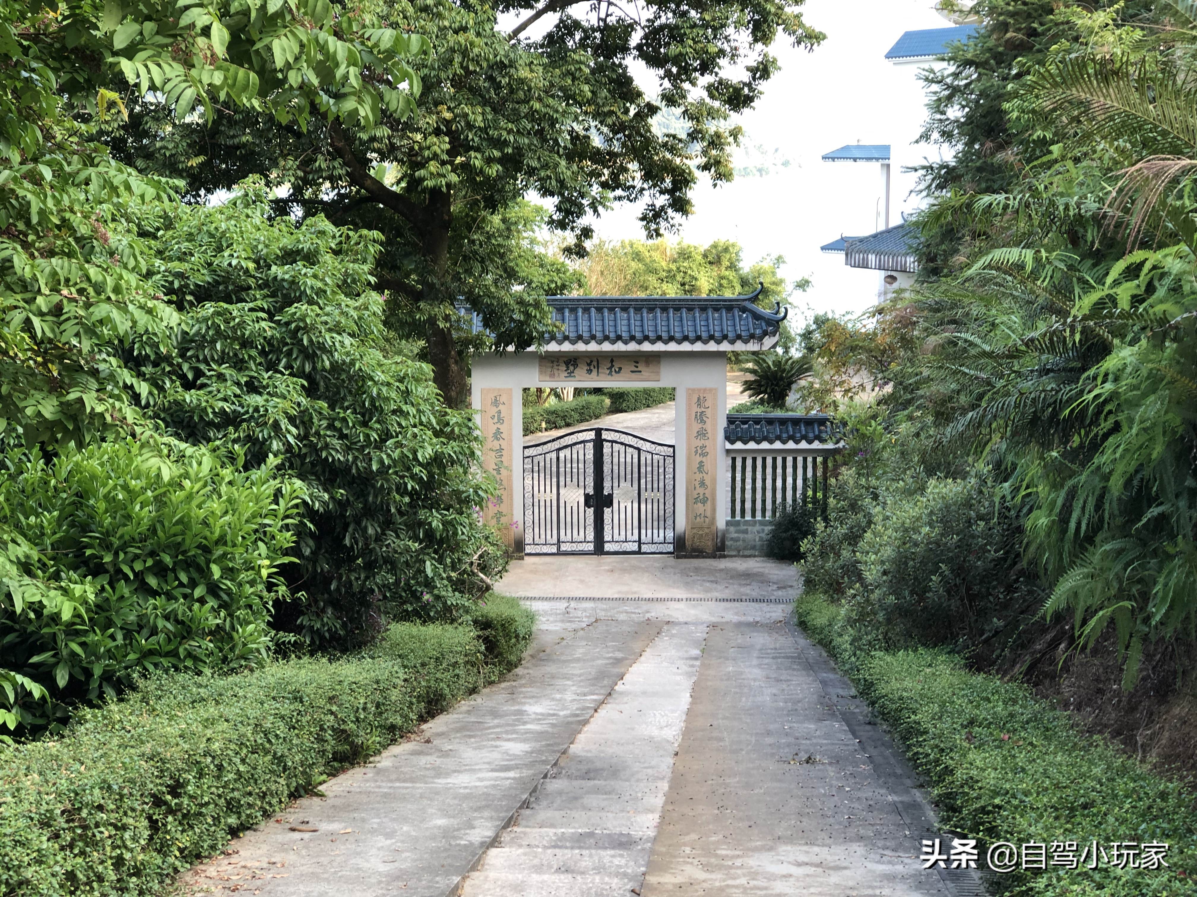 广东游万绿湖,广东河源万绿湖旅游攻略