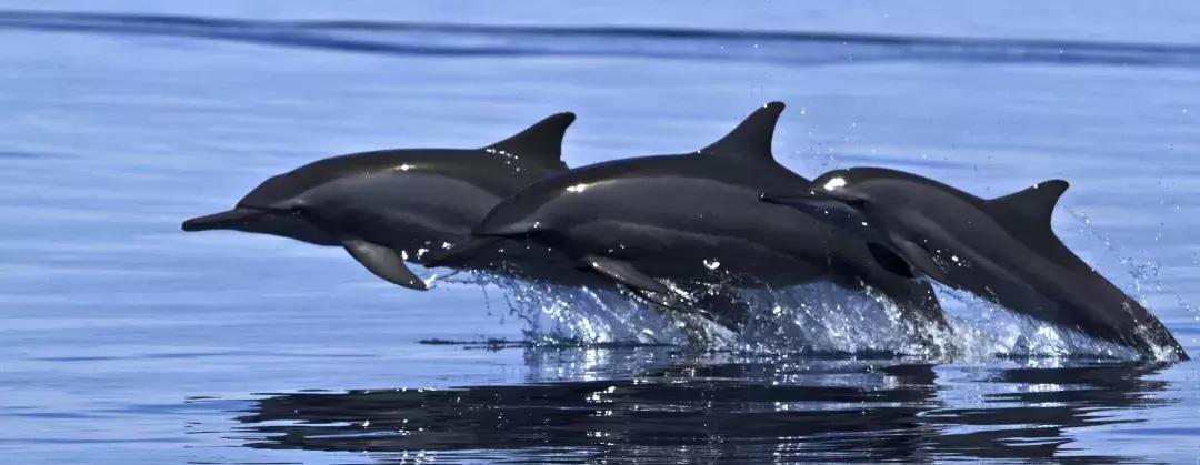 斯里兰卡的风景,风景优美而且物价便宜