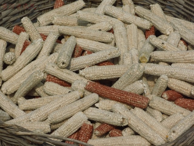 呼和浩特40年代老物件,呼和浩特老物件