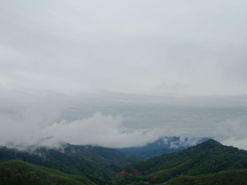 中国人民武装警察部队森林消防,武装森林警察部队