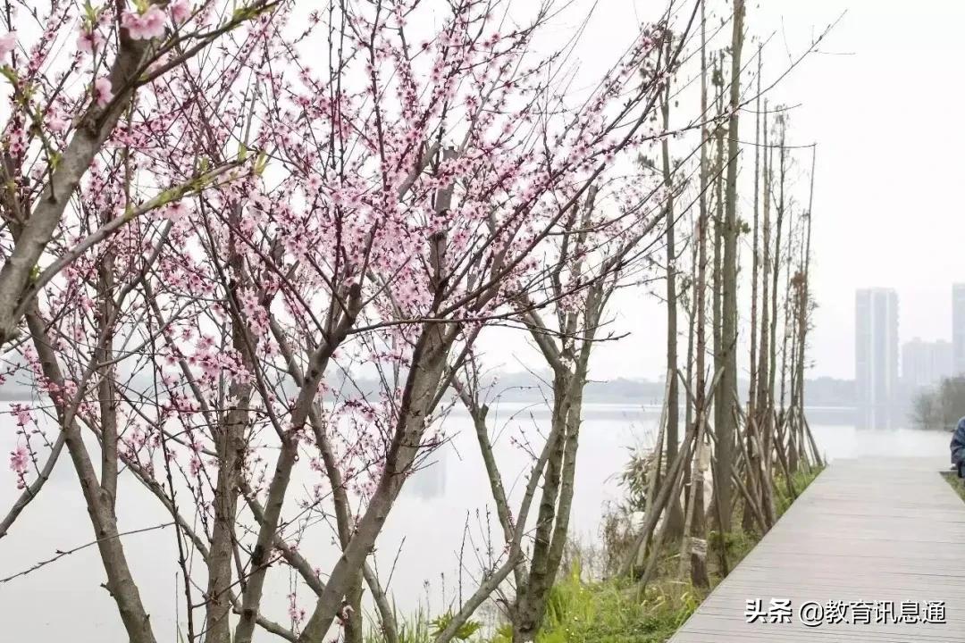 一份来自成都大学的“自我介绍”