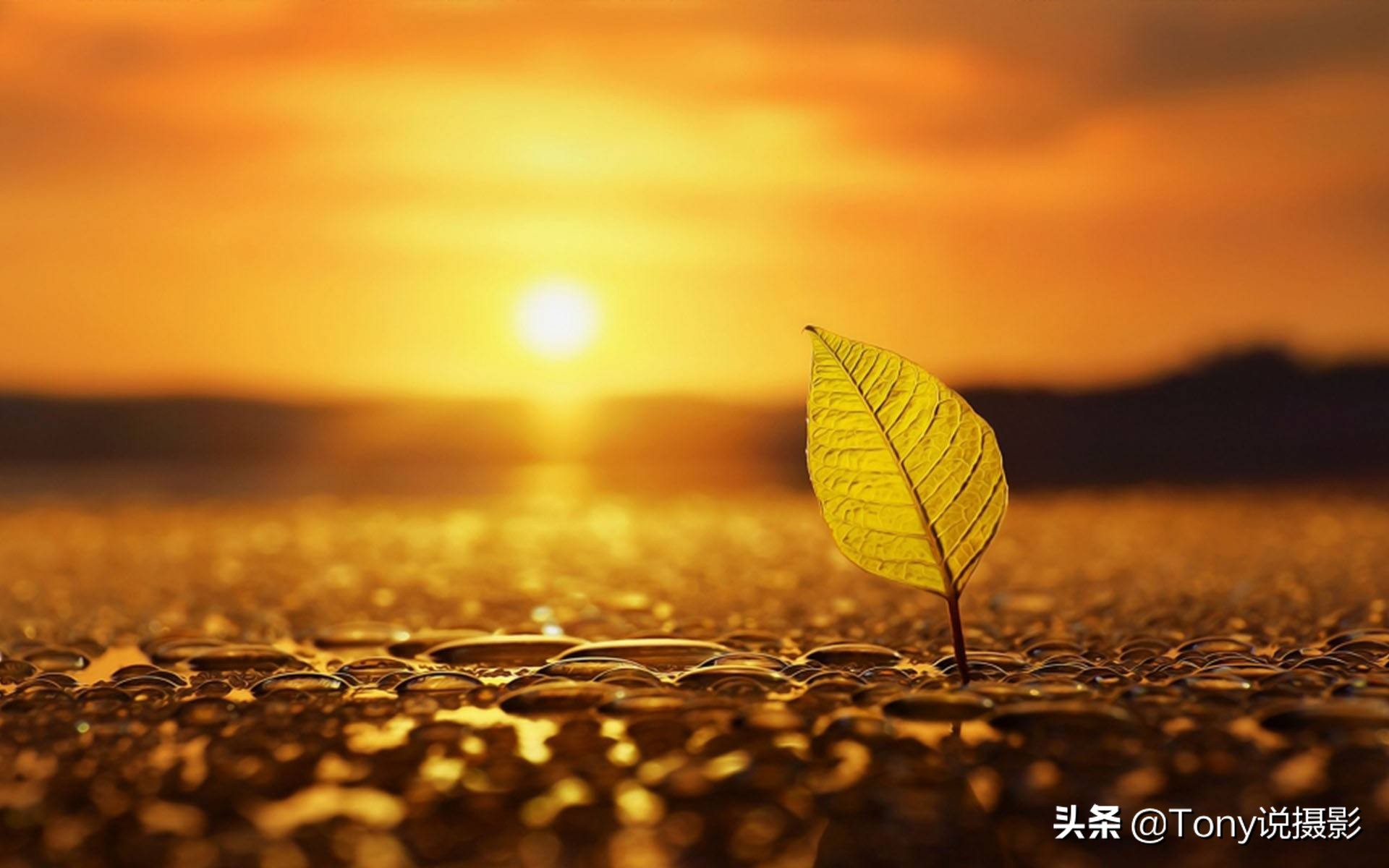 相机摄影最佳设置方法是什么,相机拍摄问题及解决方法