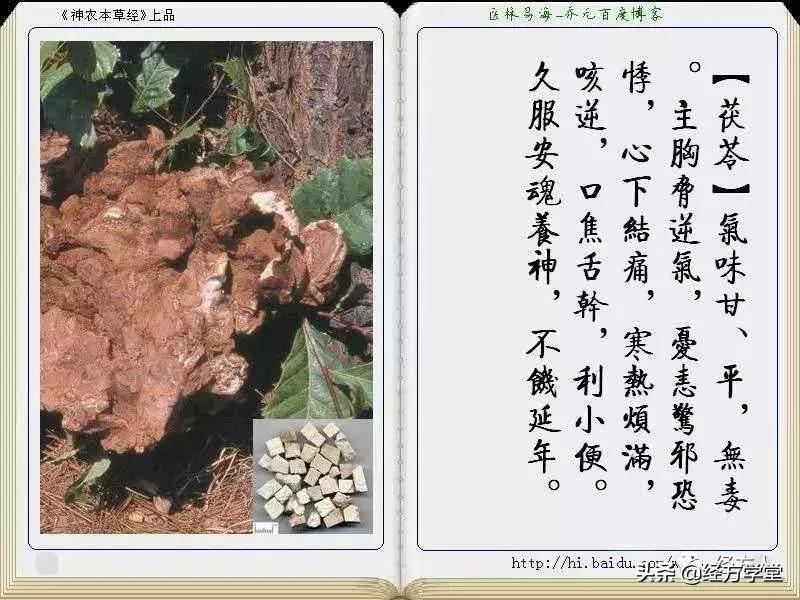 金方书院学习思辨录（一）原创：沧州二院马培锋