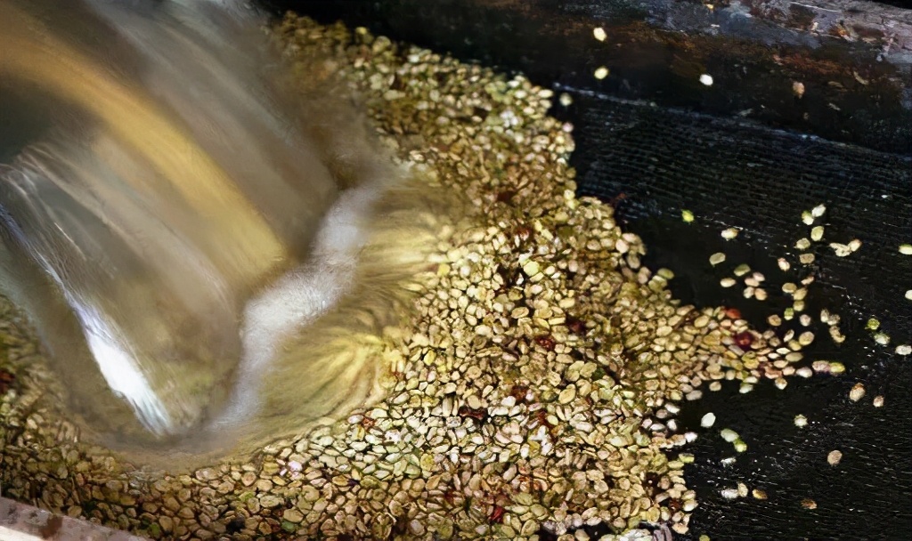 咖啡豆有多少种不同的制作方式,咖啡初学者入门认知咖啡豆