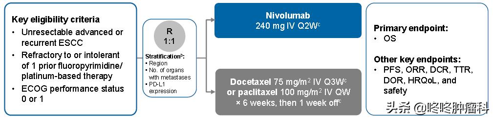 o药食管癌,k药和o药治疗食管癌效果