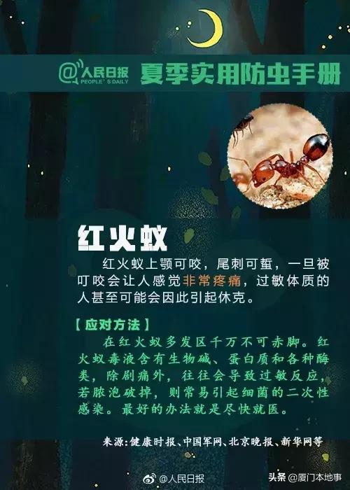 厦门人当心！又有虫子出来惹事！被咬后严重可危及生命