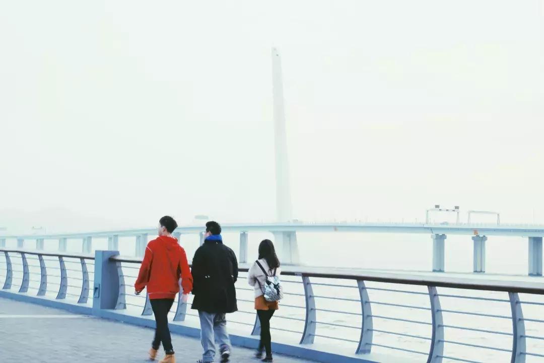 深圳湾公园这里有什么好吃的,深圳湾在哪里