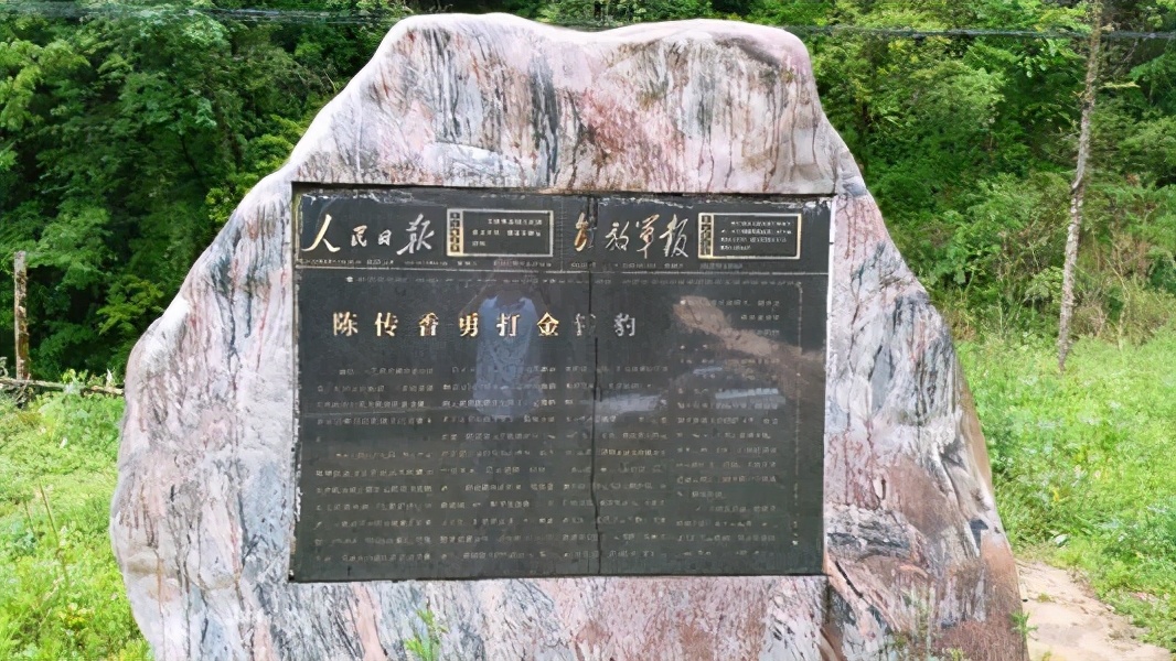 1975年湖北少女徒手打死老虎,19岁女孩徒手打死豹子