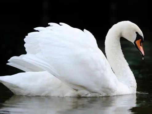 学会设计感穿搭,如何廉价又能穿出高级感