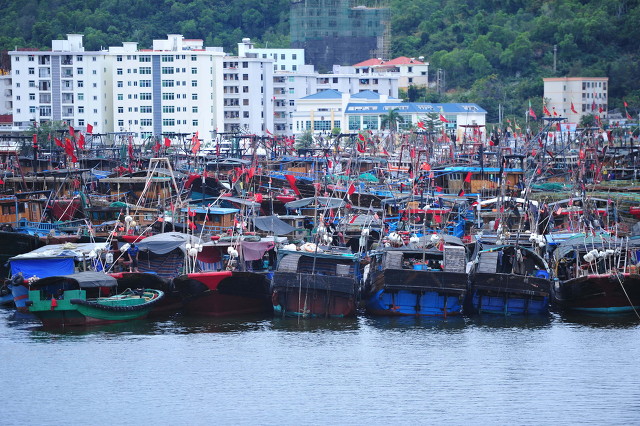 深圳海边最好的公园,深圳有几个靠海的公园