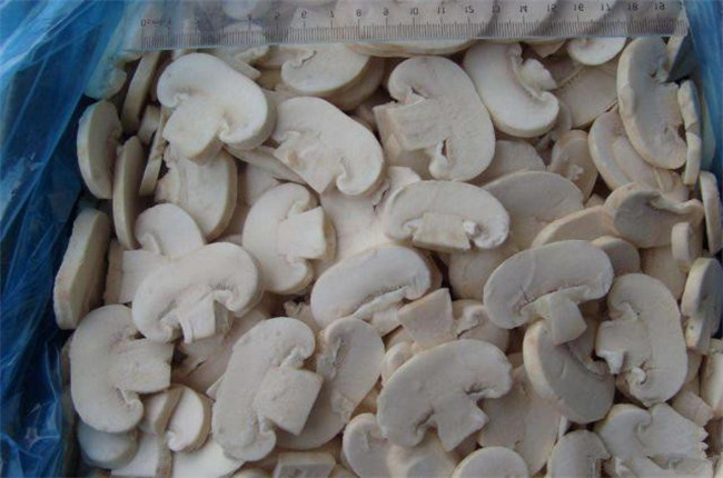 双孢菇种植技术和管理,双孢菇最简单种植方法