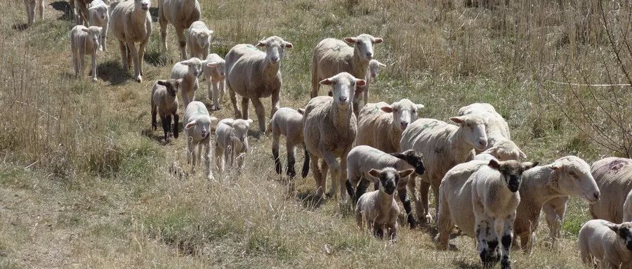 怎么看自己抢到火车票了,有史以来抢到的火车票