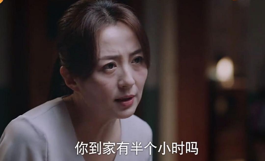 以家人之名虐心李海潮,以家人之名李海潮简介