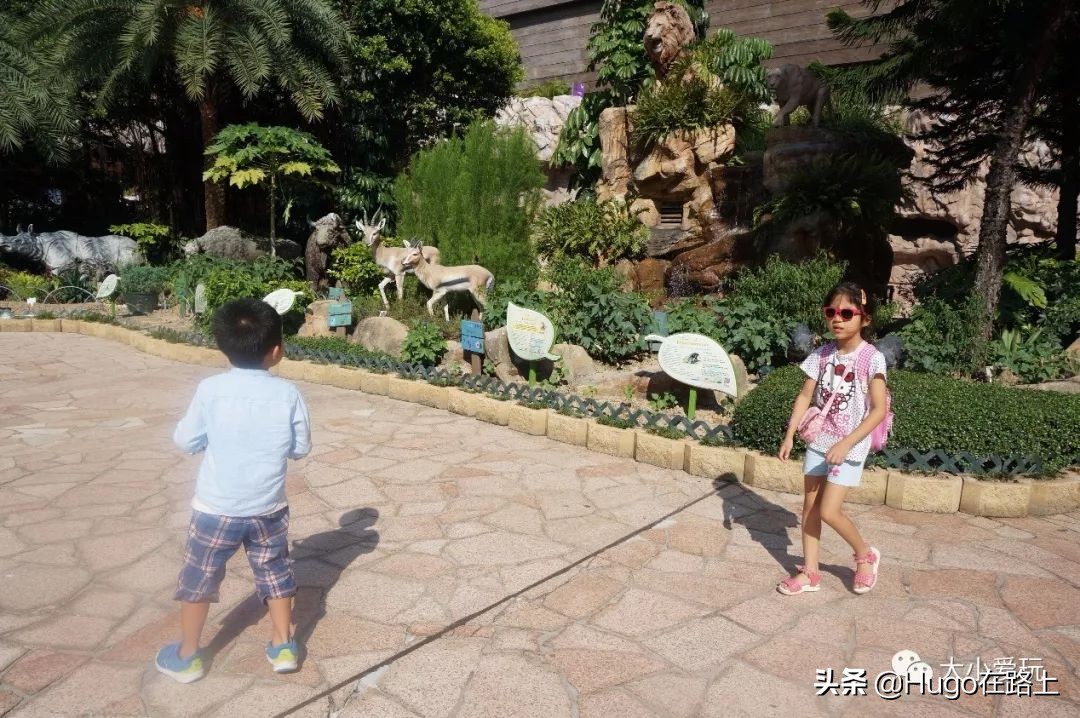 香港亲子游图文攻略图片大全,香港亲子游最佳路线图