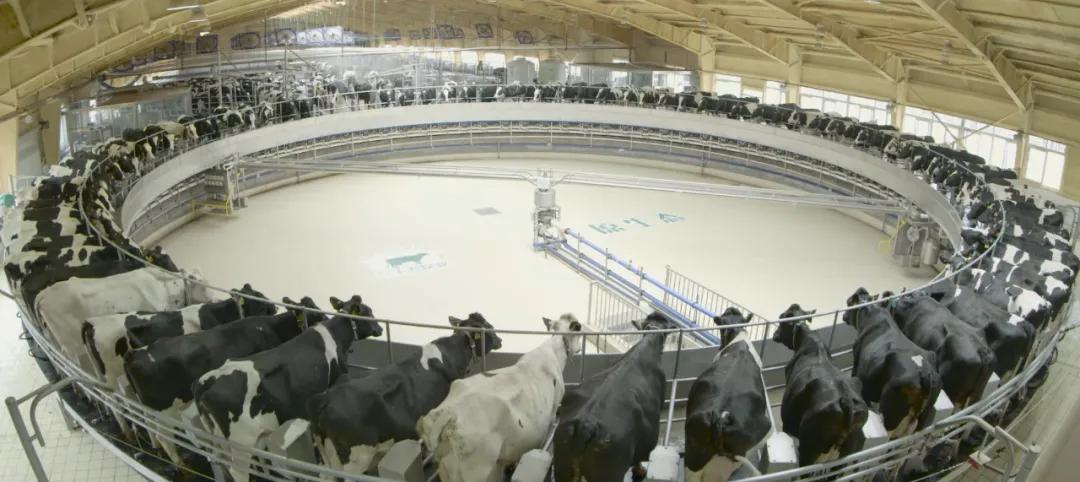 月球土特产首次公开亮相,月球土特产开箱视频