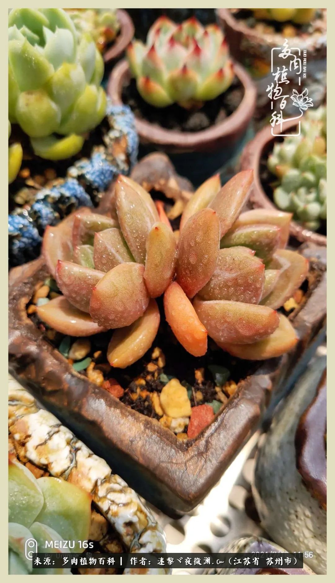 秋尽冬来岁月不居时节如流,岁月不居时节如流水