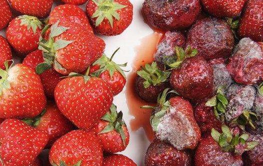 比车厘子更惨的是草莓