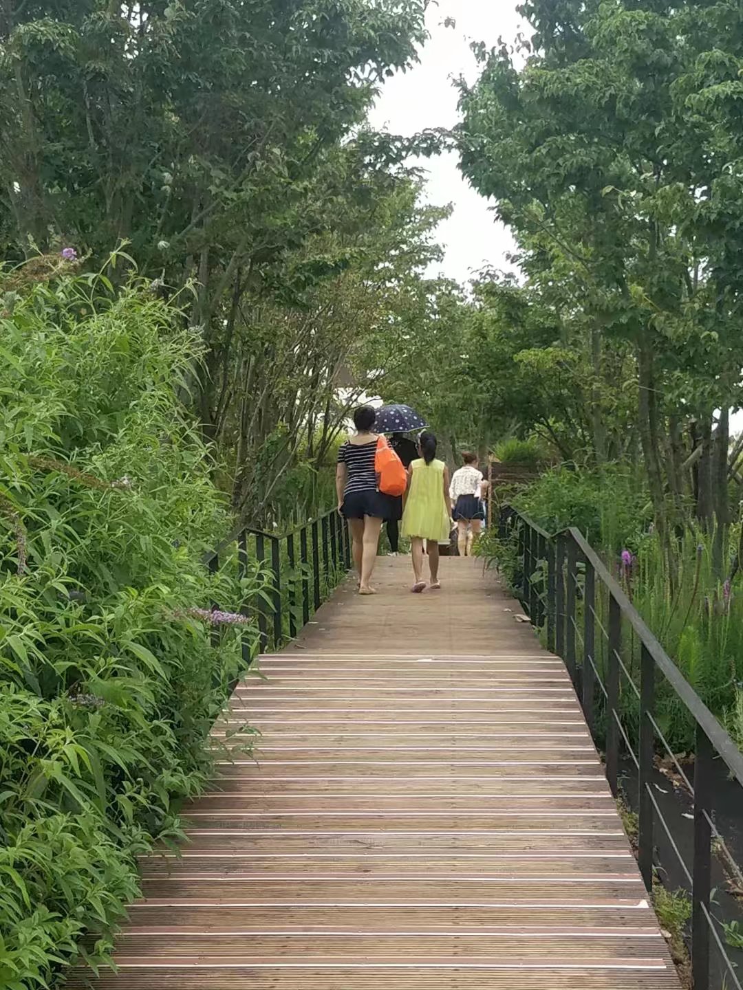 济州岛万丈窟旅游攻略,济州岛万丈窟