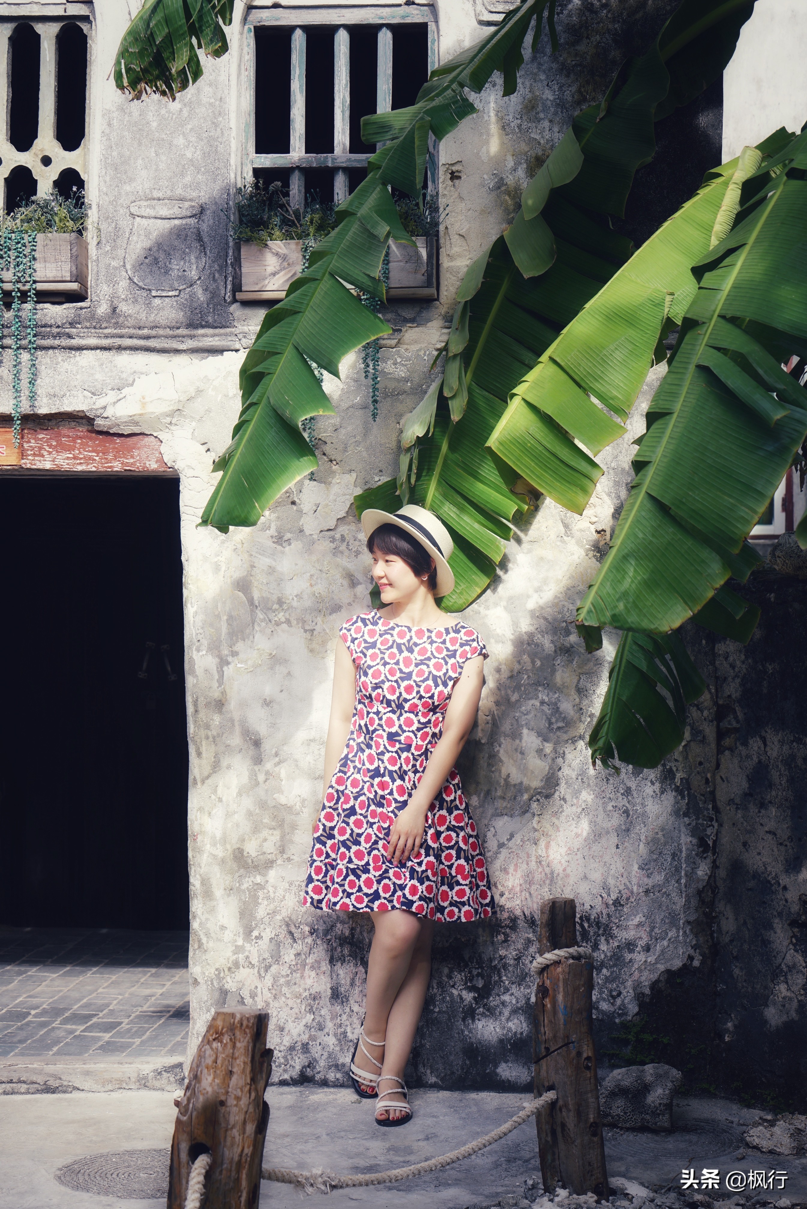 被猴子袭击，门票昂贵，拍照被轰，被我全程吐槽的三亚到底值不值