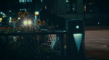 豆瓣9分以上的教育,豆瓣性教育