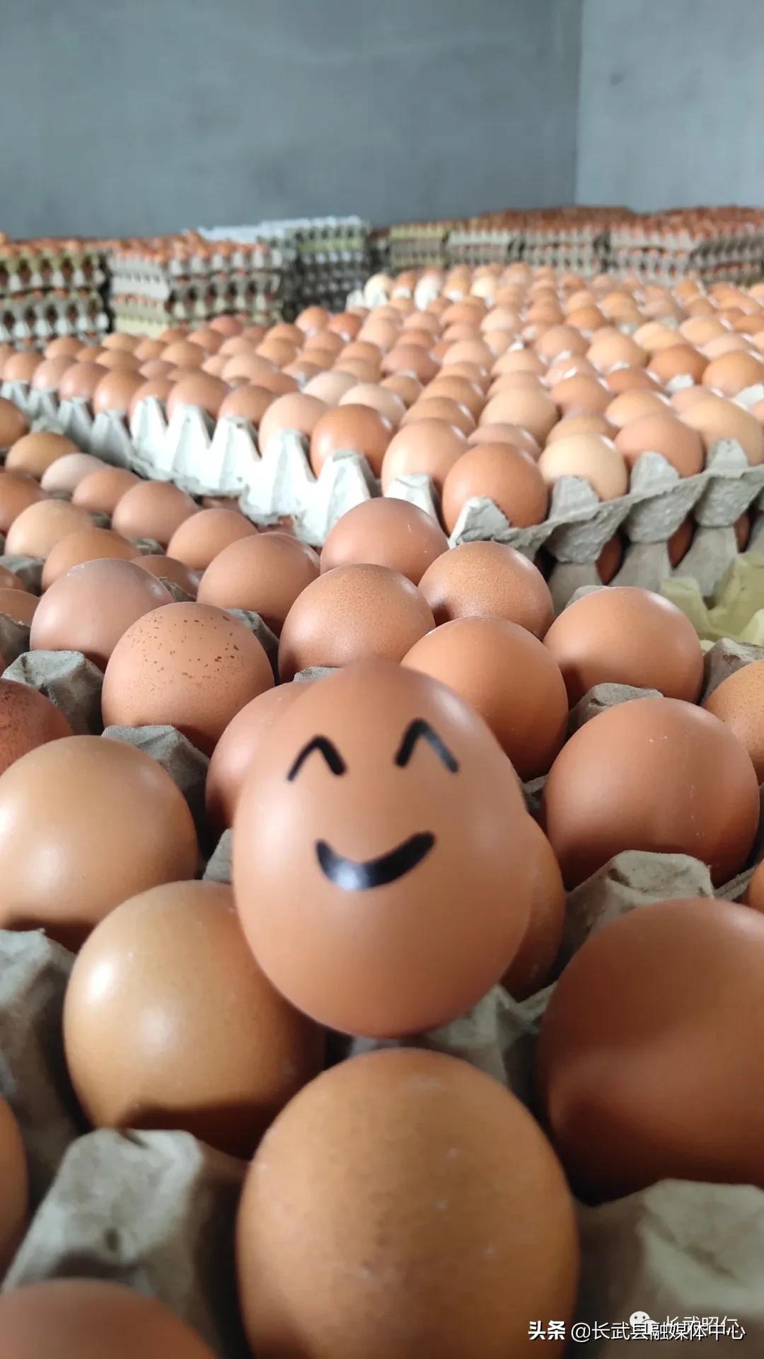 香椿炒鸡蛋的营养价值,冻过的香椿怎样炒鸡蛋